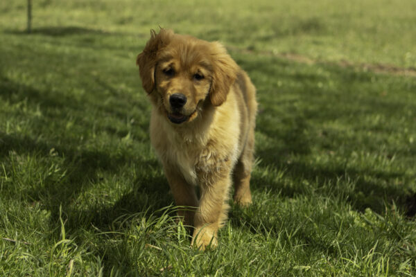 Madeline - Image 9
