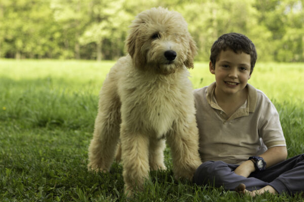 Brody - Image 7
