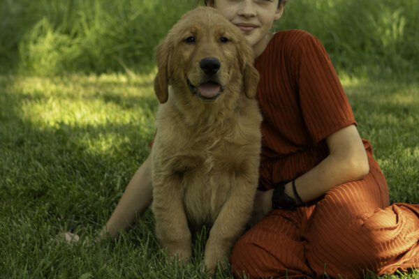 Dane - Image 7