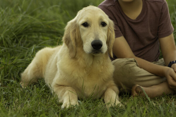 Faith - Image 7