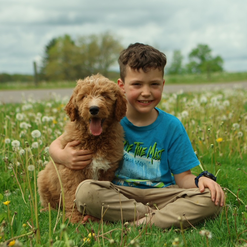 Boy and Dog