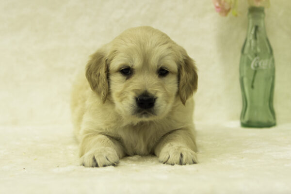 Fiona - Image 5