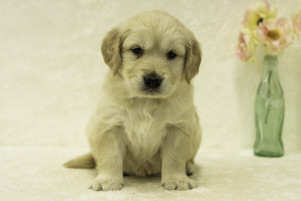 Fiona - Image 4