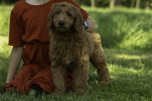 Ellen - Image 5