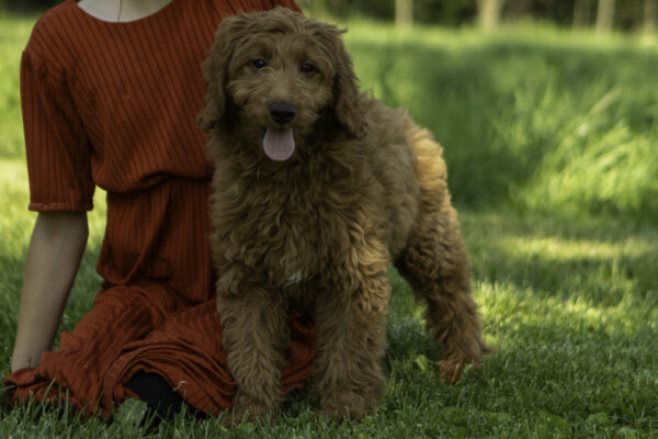 Ellen - Image 6