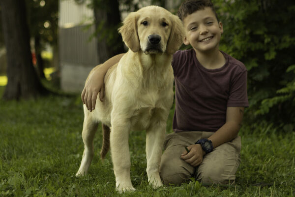 Sammy - Image 5