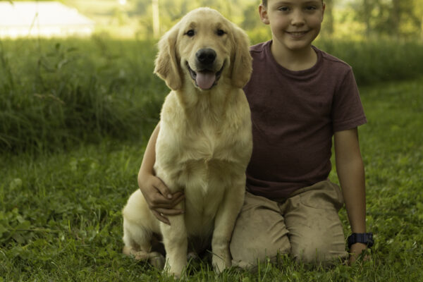 Sammy - Image 6