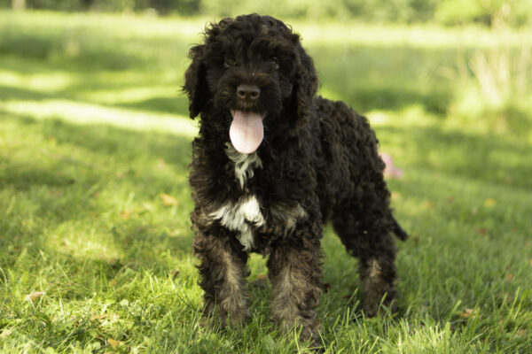 Zoey - Image 8