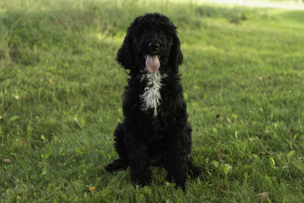 Esme - Image 9